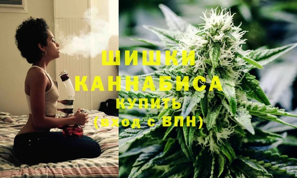 прущие грибы Балабаново