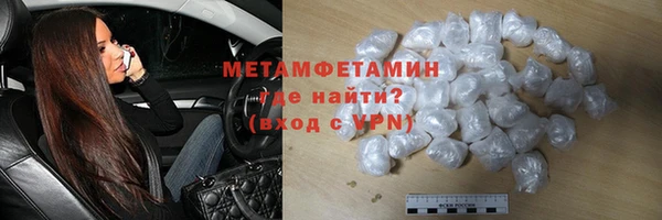 прущие грибы Балабаново