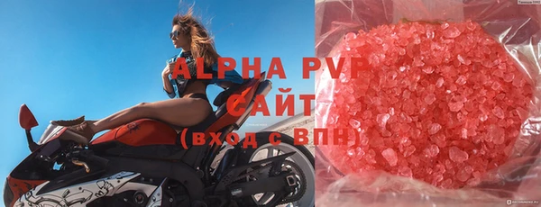 прущие грибы Балабаново