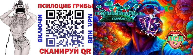 Купить  Багратионовск  Псилоцибиновые грибы мицелий 